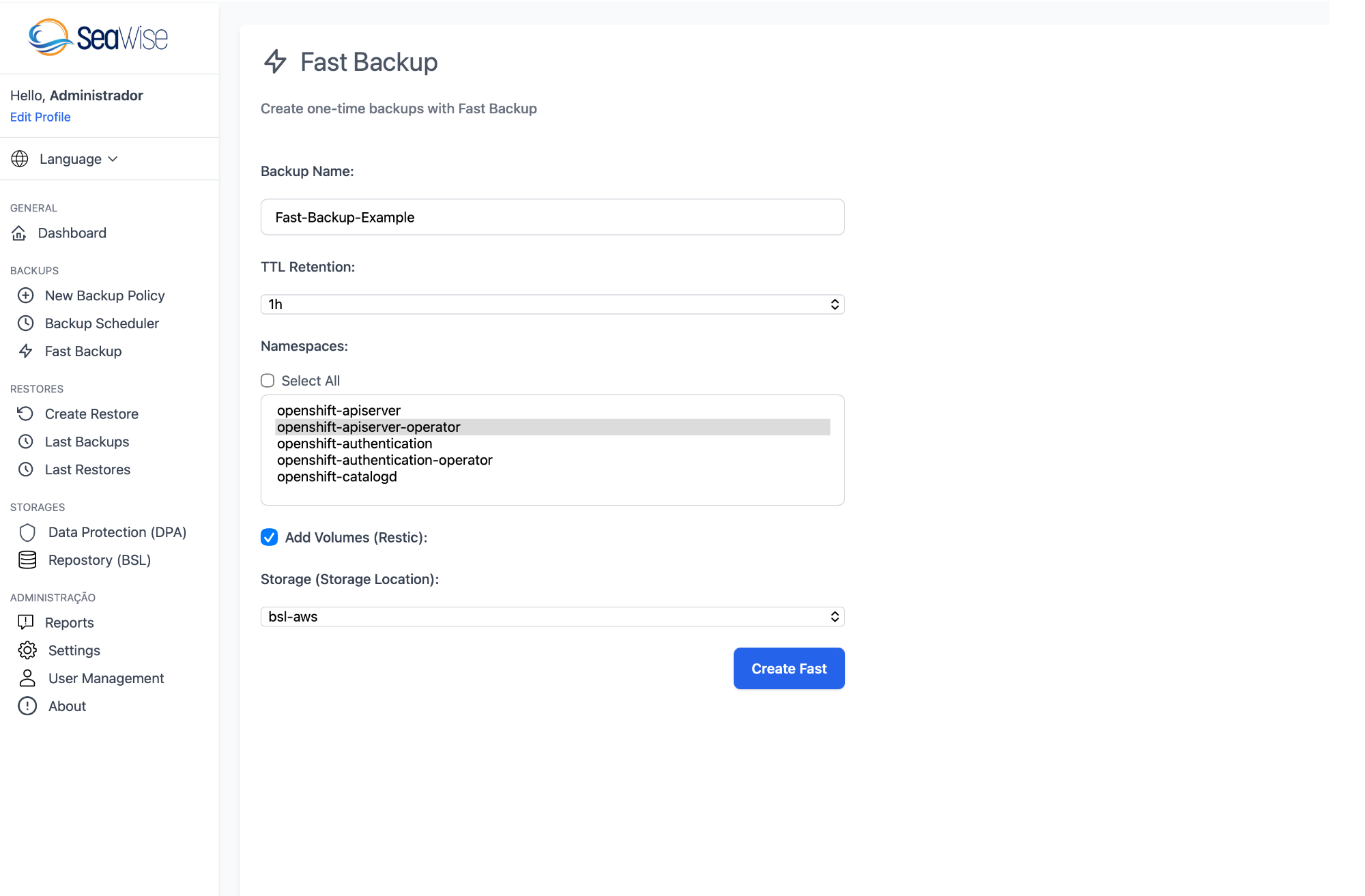 Seawise Fast Backup